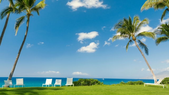 Steam 上的 City Game Studio： Your Game Dev Adventure Begins